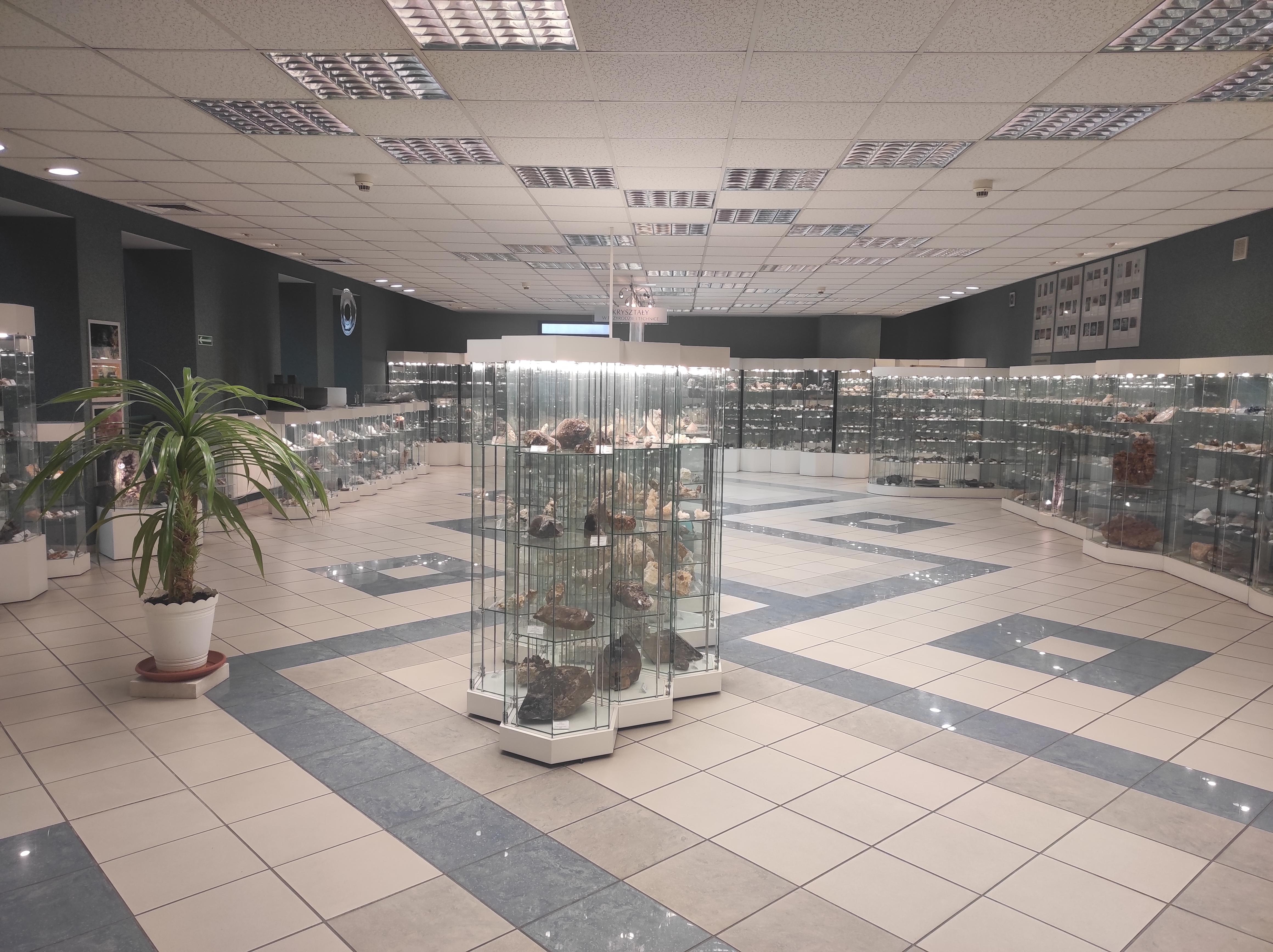 Muzeum Geologiczne UŁ