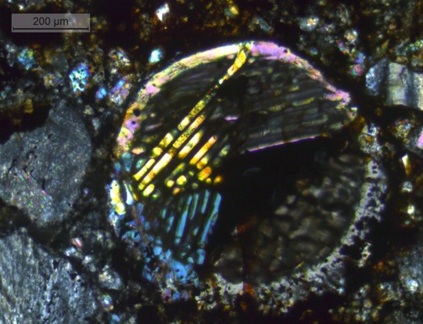 Chondra w meteorycie kamiennym