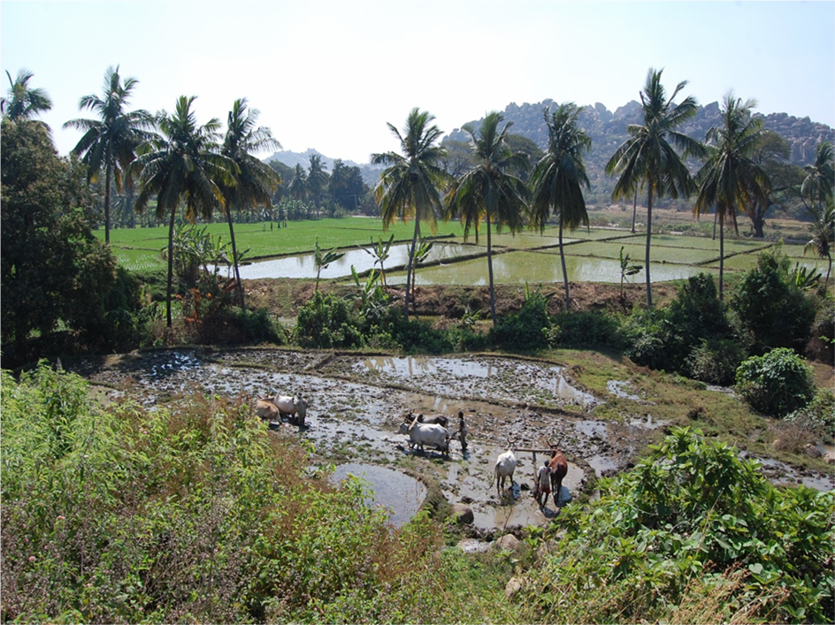 "Podróże na 7 kontynentów" "Podróże na 7 kontynentów"