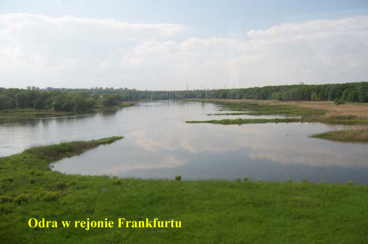 Odra w rejonie Frankfurtu