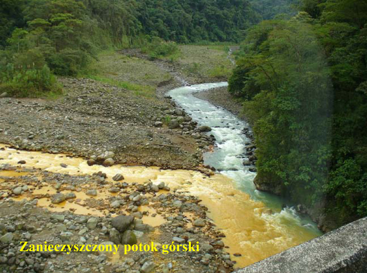 Zanieczyszczony potok górski