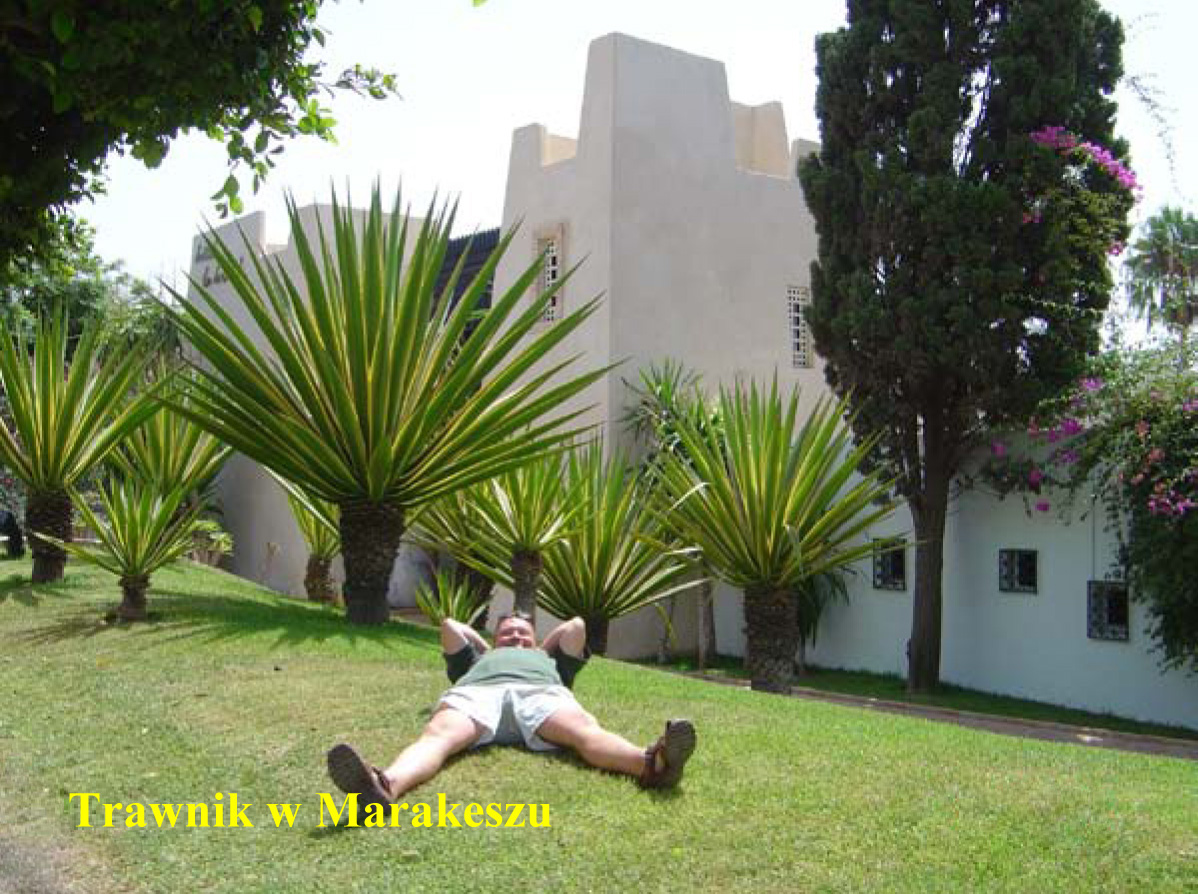 Trawnik w Marakeszu