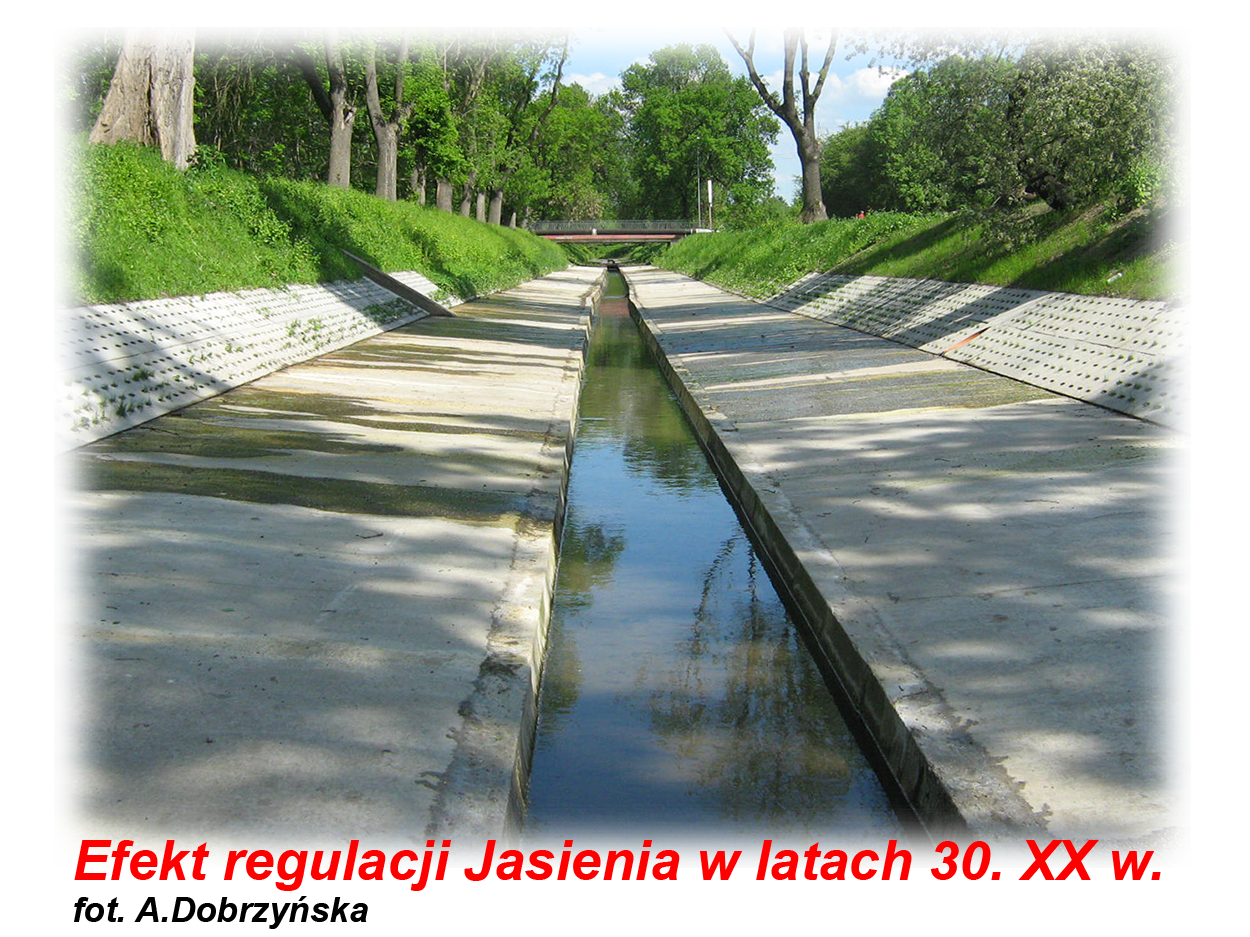 betonowe koryto Jasienia