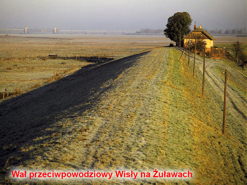 Wał przeciwpowodziowy Wisły na Żuławach
