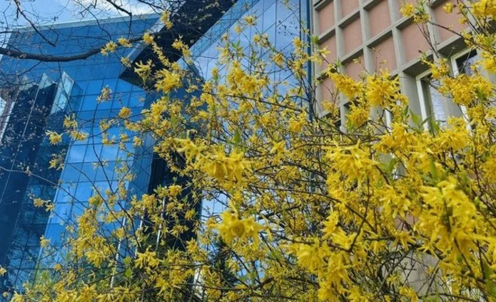 Wakacyjne godziny otwarcia Biblioteki UŁ