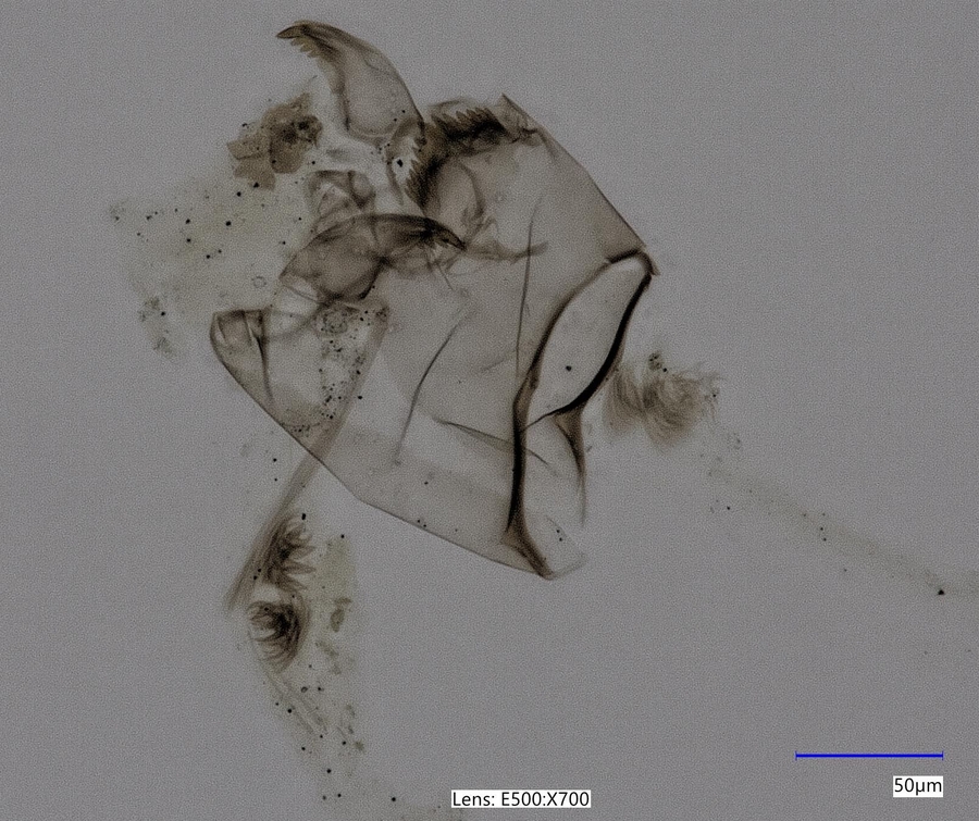 spotkanie warsztatowe, które zgromadziło przedstawicieli firmy KEYENCE