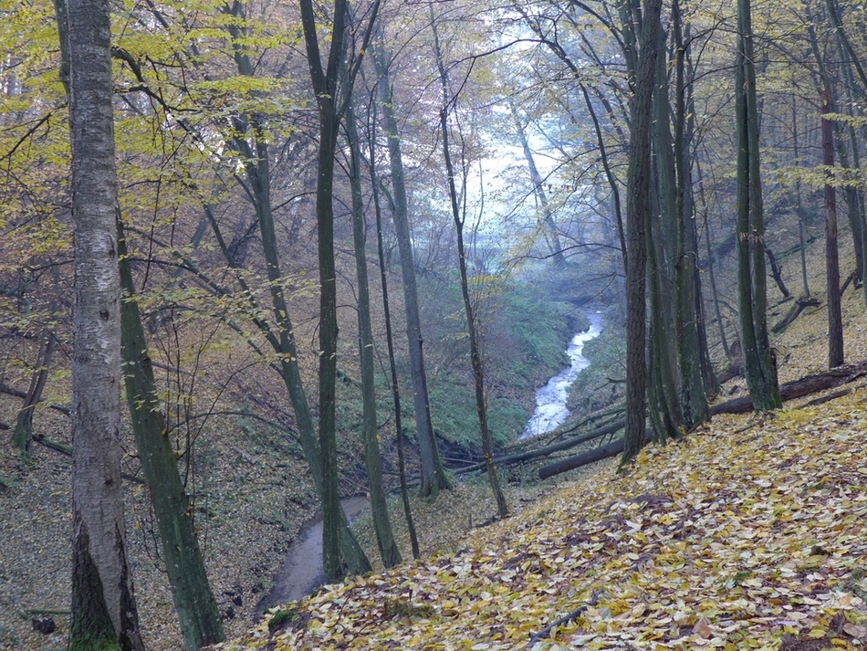Spotkanie z geografią na WNG UŁ”. W lutym będzie ono poświęcone krajobrazom Polski. Krajobraz jako obszar współżycia człowieka z przyrodą zostanie przedstawiony przez Panią prof. Elżbieta Kobojek.