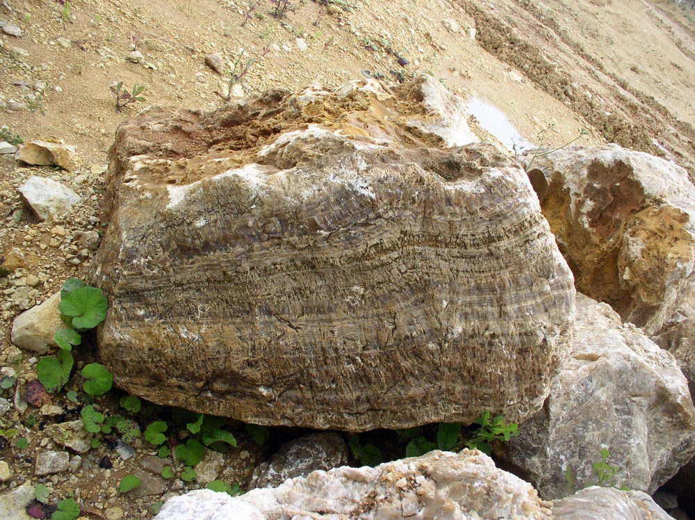 06.Krystek Marcin kamieniołom Raciszyn